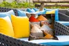 MuchoWow® Outdoor Kissen - Kräuter - Ton - Gewürze - Gelb - Produktbild-Vorschau 4