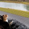 lionto Katzenschutznetz, reißfestes & UV-beständiges Produktbild-Vorschau 2