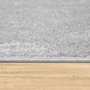 Tapis pour salon, uni, à poils courts, sobre et moderne, Voir les images du produit 7