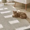 A cat is lying on a rug in a room with sunlight streaming in. Voir les images du produit