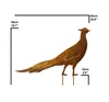 Edelrost tuinaccessoire: Fasan (fazant) Productafbeelding-voorbeeld 4