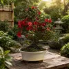 Rhododendron indicum - kwitnąca azalia - Outdoorbonsai - Podgląd zdjęcia produktu 3