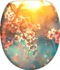 A close-up of a toilet seat with a cherry blossom design, illuminated by warm sunlight. Náhled obrázku produktu