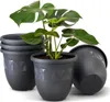 A plant in a pot, with other pots stacked behind it. Produktbild-Vorschau