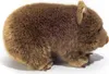 Teddy herman wombat, approx. 26cm Voir les images du produit 8