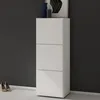doporro Meuble à Chaussures Blanc Mat 45x120cm Rangement Voir les images du produit 1
