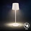 LED stolová lampa Dobíjateľná LED stolová lampa Náhľad obrázku produktu 11