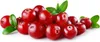 Teisseire Getränke-Sirup Raspberry & Cranberry 0% - 600ml Produktbild-Vorschau 2