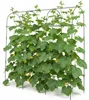 Treillis Relaxdays pour plantes grimpantes, support Voir les images du produit 1