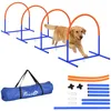 PawHut Hunde-Agility-Trainingsgeräte, Hund Agility Set, Produktbild-Vorschau 1