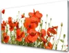 Acrylglasbilder 100x50 Wandbild Druck Mohnblumen Pflanzen Produktbild-Vorschau 1