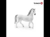 Schleich Lipizzaner Hengst, 13887 Produktbild-Vorschau 2