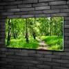 Tulup® Glas-Bild - 100x50 -Wandkunst - Wandbild hinter Produktbild-Vorschau 2