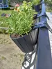 Prosperplast 4.9l Boardee Collection 38.3x21.2x13 Cm Produktbild-Vorschau 12