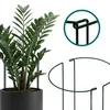 Sillar 10x Supporto semicircolare per piante – 25×40 cm Anteprima dell’immagine prodotto 3