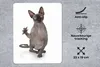 MuchoWow® Mauspad Mousepad Eine kratzende Sphynx auf weißem Produktbild-Vorschau 2