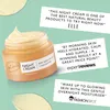 UpCircle Nachtcreme – Hyaluronsäure & Niacinamid – 55 ml Produktbild-Vorschau 4