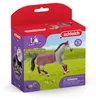 Cavallo da torneo del cavallo Trakehner Anteprima dell’immagine prodotto 2