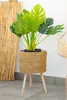 Umělá rostlina MONSTERA, 70 cm Náhled obrázku produktu 3