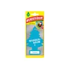 Arbre miracle Petit arbre tropical Voir les images du produit 1