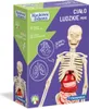 Clementoni Ľudské Telo Mini 50515 P6, Cena Za 1Ks. Náhľad obrázku produktu 1