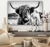 MuchoWow® - Leinwandbilder - Schottischer Highlander - Produktbild-Vorschau 7