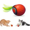 Interaktive Spielzeugkugel für Katzen und kleine Hunde, Produktbild-Vorschau 2