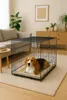 A beagle dog lies on a cushion inside a black metal dog crate in a living room. Anteprima dell’immagine prodotto