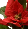 Poinsettia Seide Topf d16h27 cm Weihnachten rot Produktbild-Vorschau 7