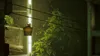 Skybound Games Stray, PlayStation 5, E (Jeder) Produktbild-Vorschau 21