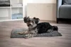 Tapis de propreté Superbed, 100 x 65 cm, gris Voir les images du produit 3