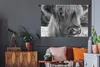 MuchoWow® Wandteppich Wandbehang Nahaufnahme Scottish Produktbild-Vorschau 5