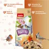 PANTO Wildvogel-Power-Mix 20kg - Streufutter mit Rosinen, Produktbild-Vorschau 2