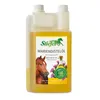 Stiefel Mariendistelöl 1 ltr. Produktbild-Vorschau 1