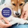 ardapcare Canosept Gel per ferite per cani - 0,02 litri Anteprima dell’immagine prodotto 2