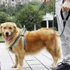 Guinzaglio riflettente rotondo per cani, 3 metri, colore Anteprima dell’immagine prodotto 7