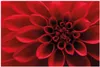 Wallario Wandbild aus Acryl, 90 x 60 cm, freischwebende Produktbild-Vorschau 1