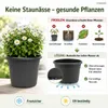 Pflanztopf Fiona Anthrazit Ø 20cm - Frostsicher & Produktbild-Vorschau 5