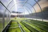 Skleník "Optima" 2,5x8 m z oceli, s 6mm polykarbonátem Náhled obrázku produktu 2
