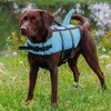 Taglia: S - Salvagente per cani SHARKY - con pinna di Anteprima dell’immagine prodotto 4