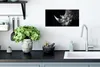 MuchoWow® Poster Rhinozeros - Tier - Licht 40x20 cm - Produktbild-Vorschau 3