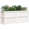 Cloris Designermöbel Pflanzkübel Weiß 150x50x70 cm Produktbild-Vorschau 4