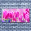 Glasbilder 140x70 Wandbild Druck auf Glas Tulpen Pflanzen Produktbild-Vorschau 2