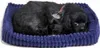 Perfect Petzzz Schwarzer Labrador 96323 Podgląd zdjęcia produktu 1