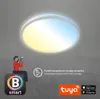 LED Deckenleuchte CCT WiFi Bluetooth App 24W silber Produktbild-Vorschau 6