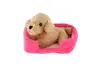 Pet in the bed peluche 4 colori 22x24cm 24m+ Anteprima dell’immagine prodotto 11