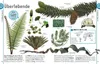 Dinosaurier Produktbild-Vorschau 8