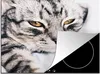 KitchenYeah© Herdabdeckplatte Katzen - Augen - Makro , Produktbild-Vorschau 1
