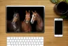 MuchoWow® Laptop Aufkleber Sticker Cover Pferde - Tiere - Produktbild-Vorschau 2