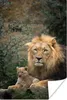 MuchoWow® Poster Löwen - Raubtiere - Porträt 120x180 cm - Produktbild-Vorschau 1